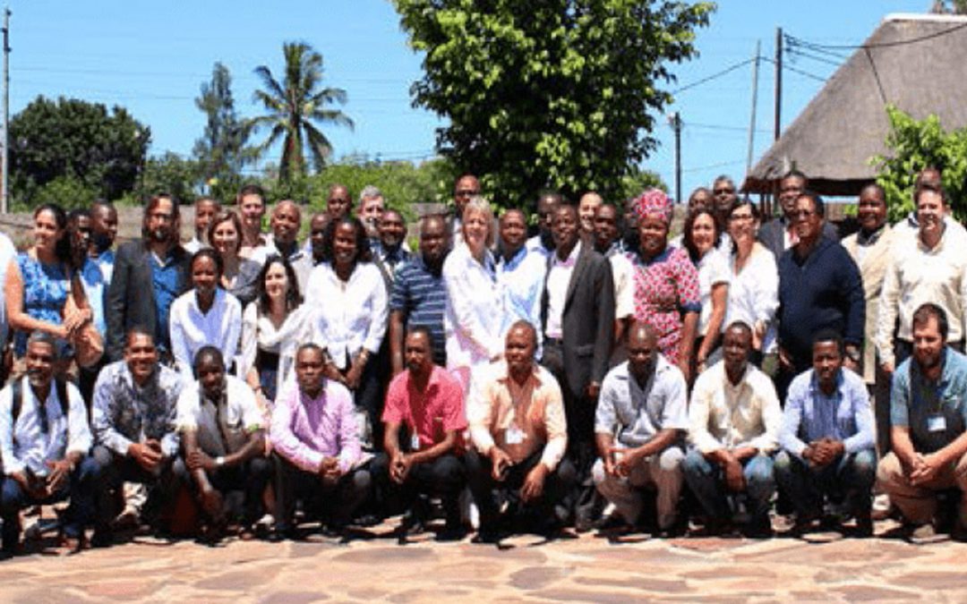 Mejora de las capacidades institucionales de autoridades locales en Brasil y Mozambique